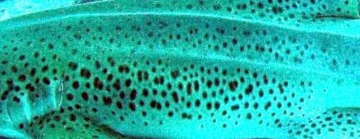 3eac13a7-72dd-4000-ad1e-0737eda0ad3b