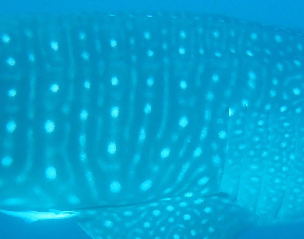 9fce0c6c-b702-44ea-8fdb-a69a71e149fb