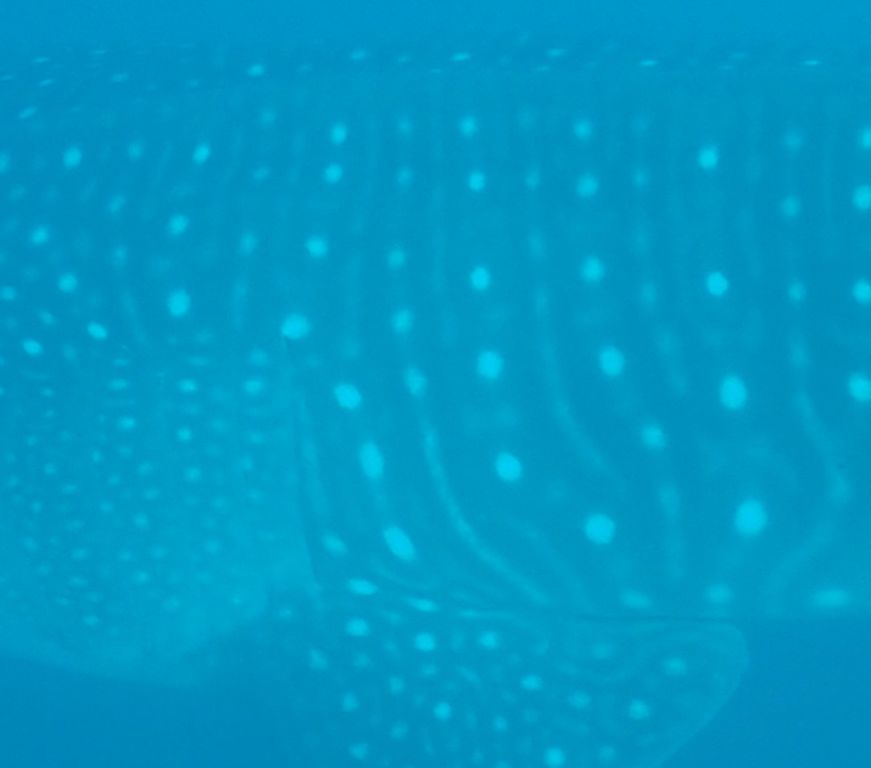 9fce0c6c-b702-44ea-8fdb-a69a71e149fb