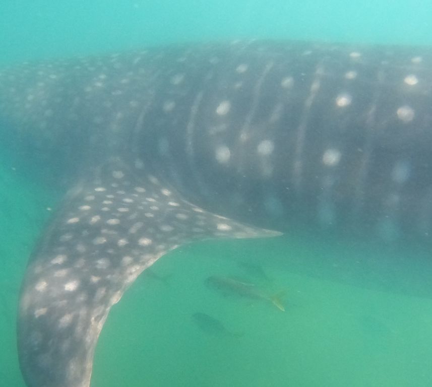 0562c90f-bfbe-4dab-97d0-4b0afc4243b7