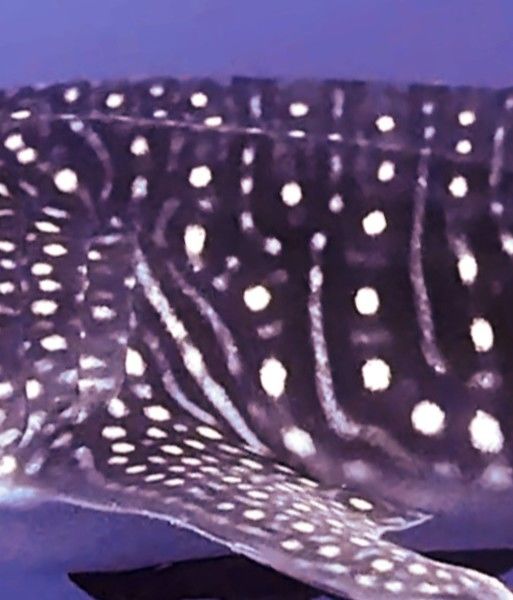 d23088f1-4493-4a6f-8879-a524f42a8bd9