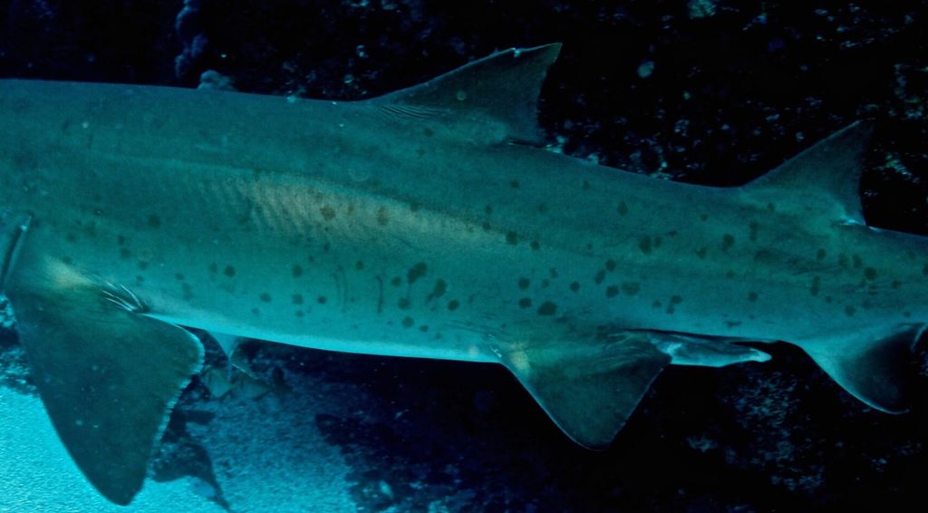 bc8d3d75-7841-46f4-b852-4f4fd0986b3c