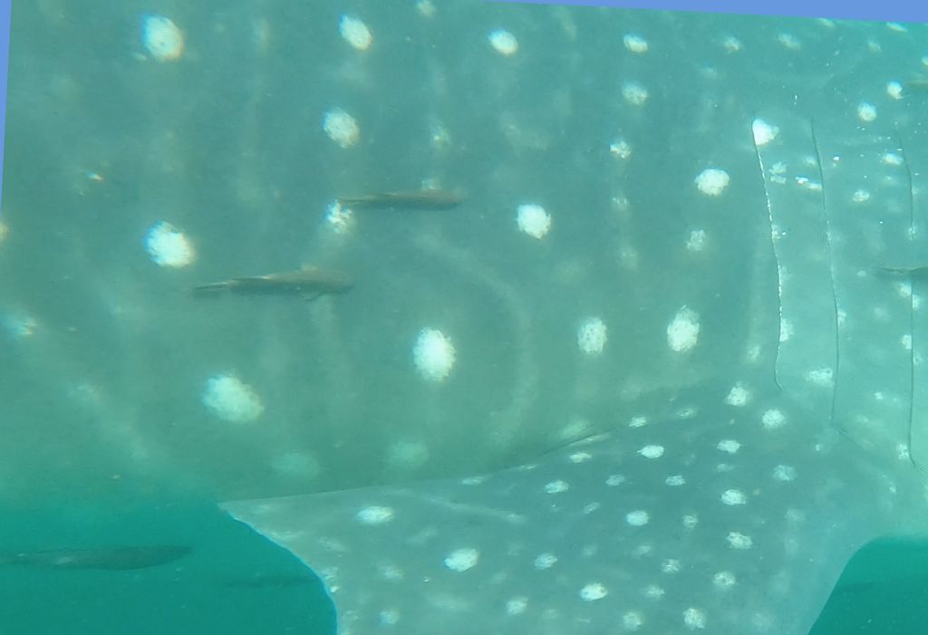 5ddd510b-fb47-470a-8714-dc55c423bd55