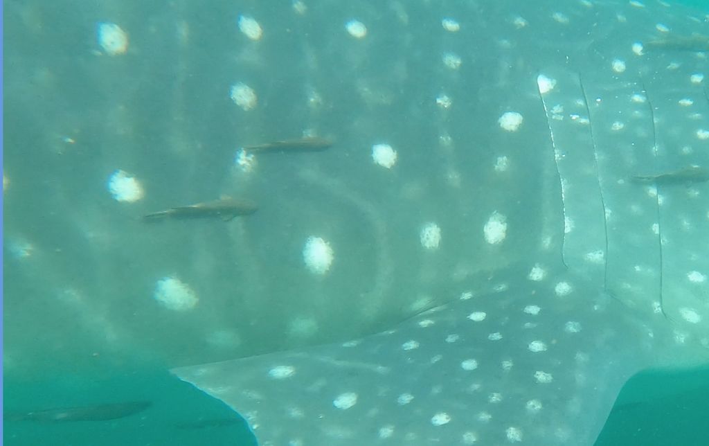 5ddd510b-fb47-470a-8714-dc55c423bd55