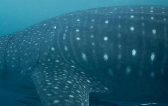 848e8536-4bde-4b25-a927-9905be4e645e