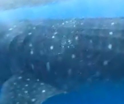 ded1ba6b-bbca-4c9a-b722-806ed80f9573