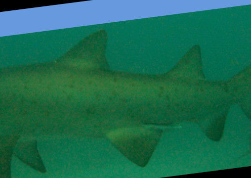 4f28cf76-1669-4af3-b042-77872ade7c09