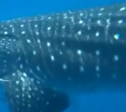 22b244be-2512-4bab-b873-c079bd82c78a