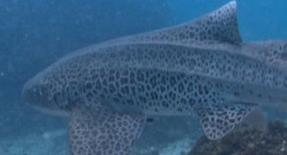 f364b09d-8fe5-495d-956d-f93f948dba0e