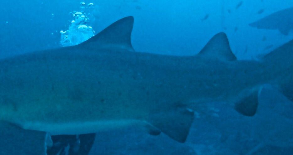 4f6a198b-f644-4c92-bd71-7b46581f8973