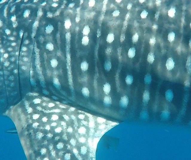 17e0f5a8-a49e-4db8-a758-645ce98a6898