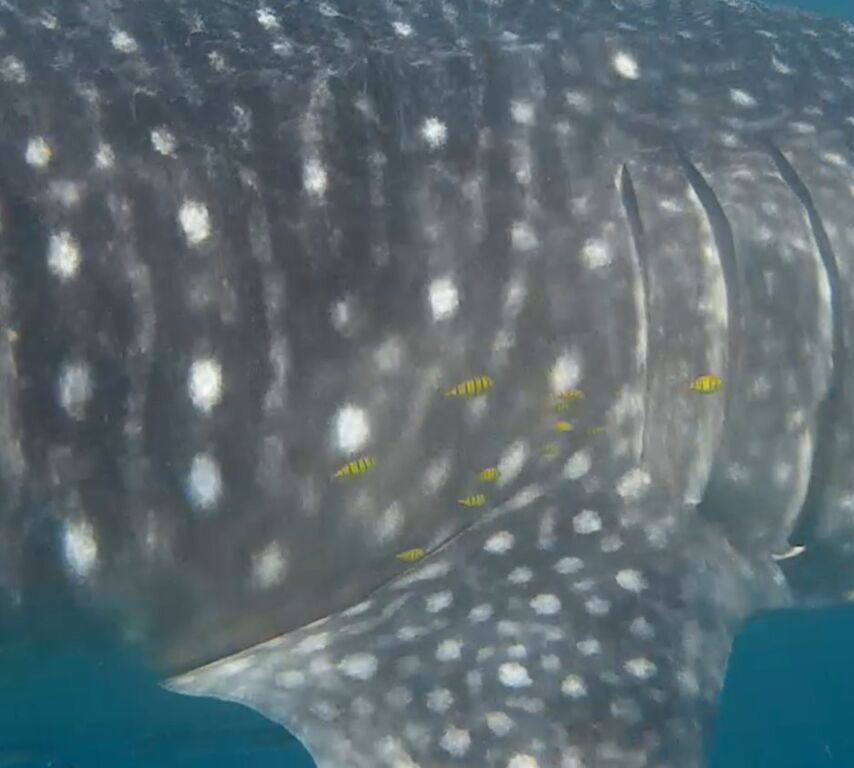 3eaf382e-8429-43ec-94c7-f279c5a73de4