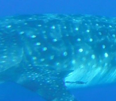 28328561-8bff-4d81-95a6-740f46f7e627