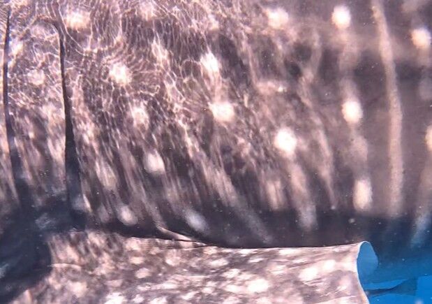 9b73f79f-ea7c-4d4b-8da6-88539762198d