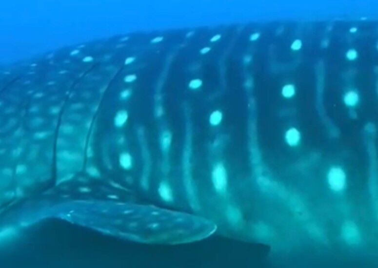 0537499e-8ebf-4507-9232-227f48b5fa29