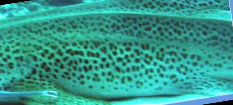 434383fa-9a30-4da9-9077-b037797157a2