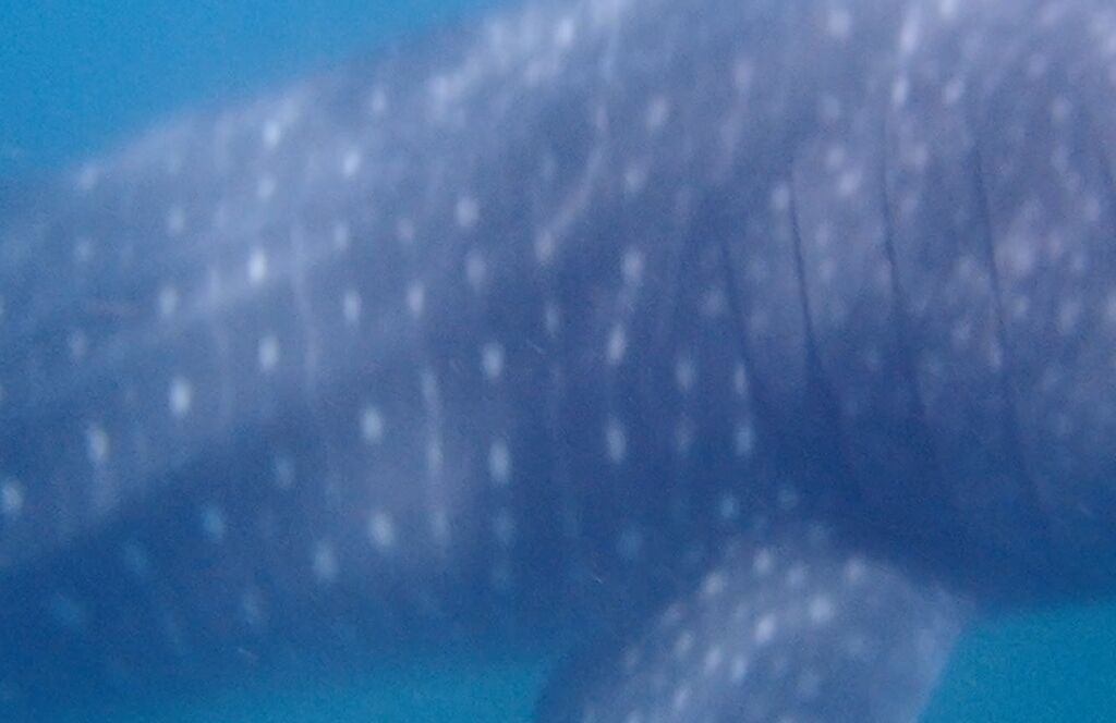 40c86d4a-531a-4b50-a6b8-674fafc340f1