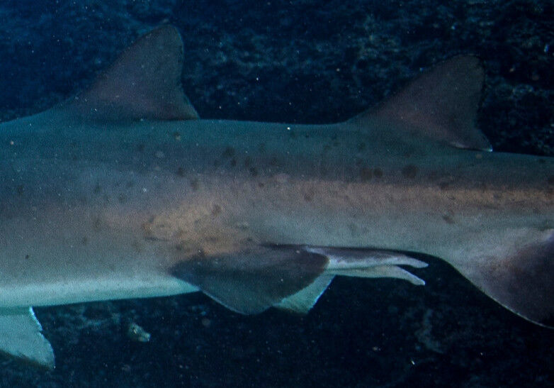 39ca857f-aef1-46a7-8cf5-63ac92020fb1