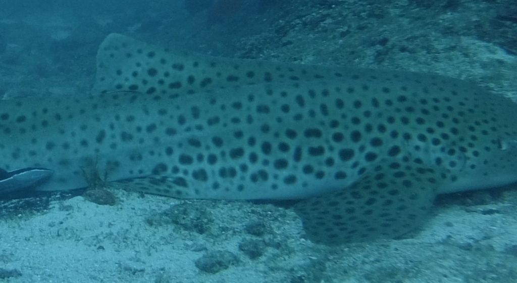 7fb7061e-bf2a-4b22-be13-cc38c0c33712