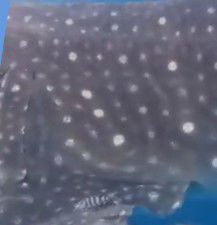 b0f14b74-47da-471e-ae0c-0bf8e5f1eb5f