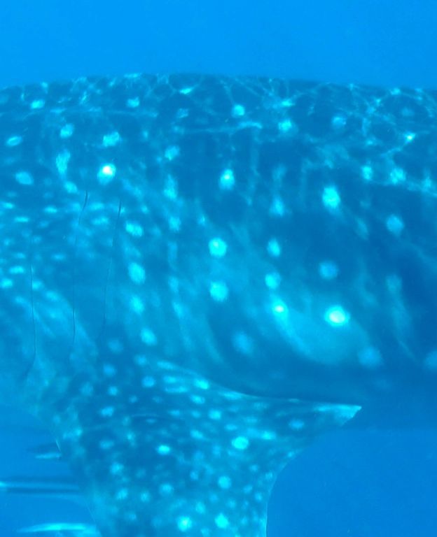 f2d9bc86-fb42-4f15-8673-84895c5ec180