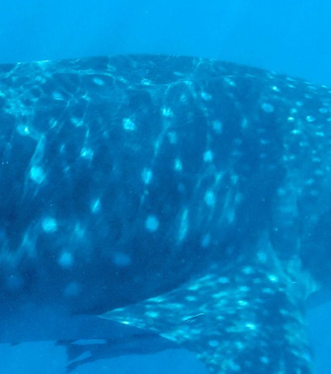 f2d9bc86-fb42-4f15-8673-84895c5ec180