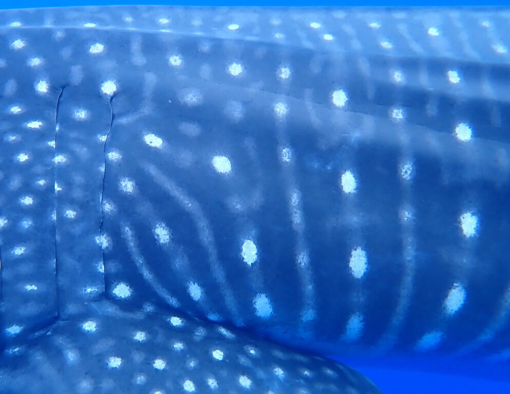 6beaa9ac-3482-4b80-81b4-67841c3b1f1d