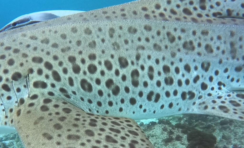 8fd3e5d7-59bb-4eae-aed1-ab9001fedea1