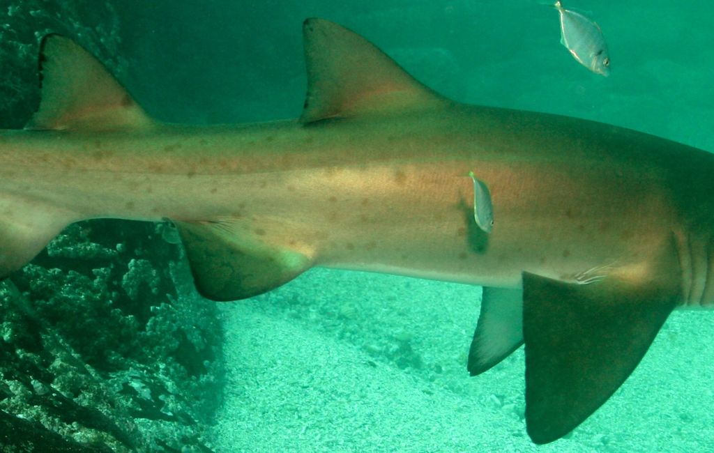 535c395d-16ad-42ed-880c-a39be0805346