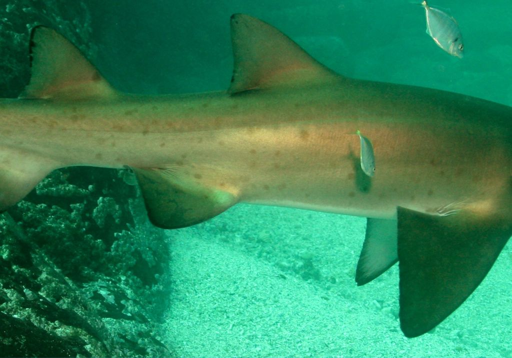 535c395d-16ad-42ed-880c-a39be0805346