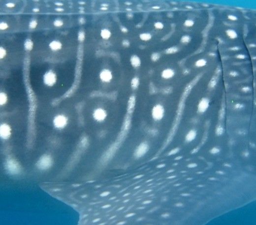 76116003-68e0-4b92-91cd-83c61471cb25