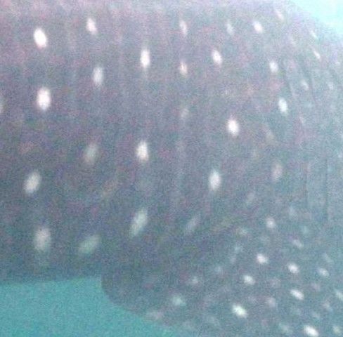 093e2b20-8dcd-484a-83af-b0e2a3e3b74d