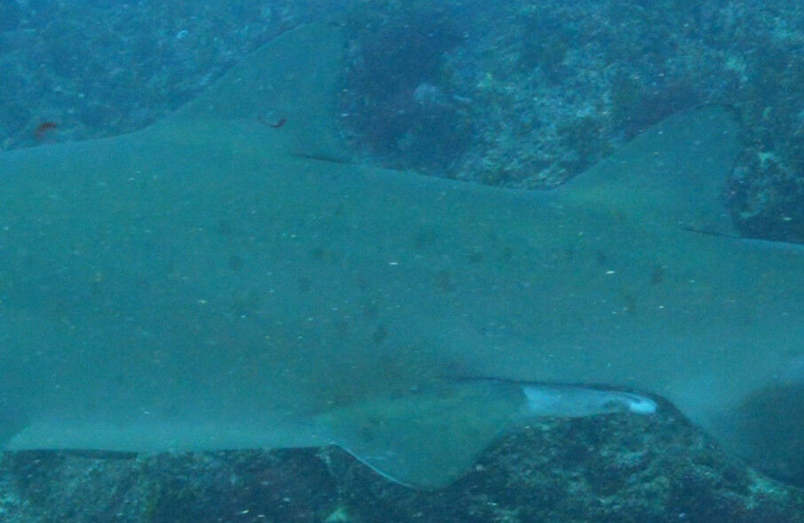 53e24827-0aed-4ff8-8c56-a2834320a541