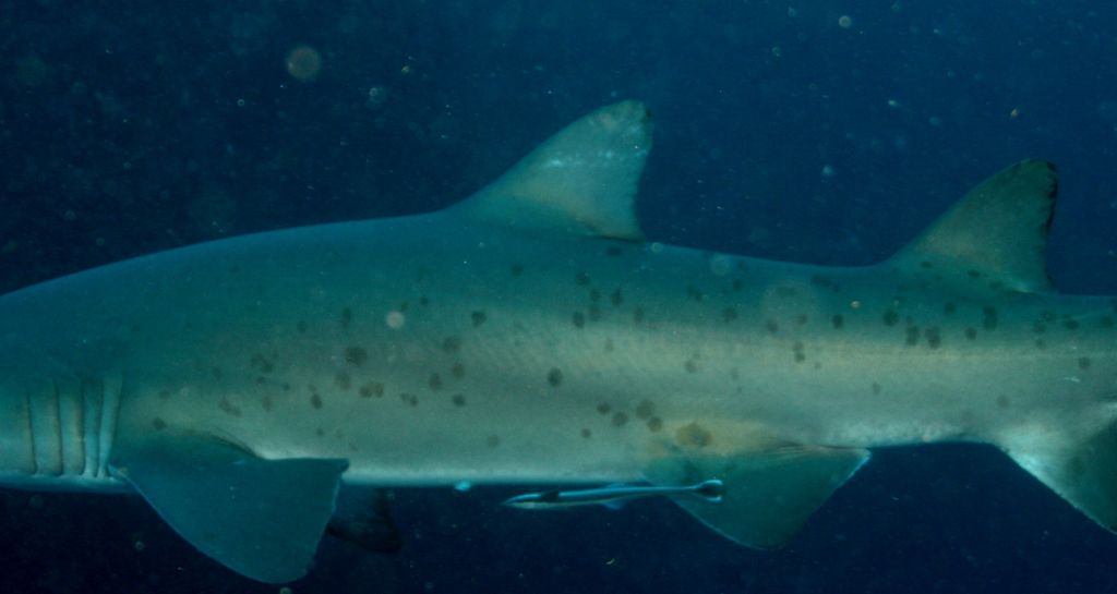 18d2efe5-90aa-4bfa-b377-5b050bba47da