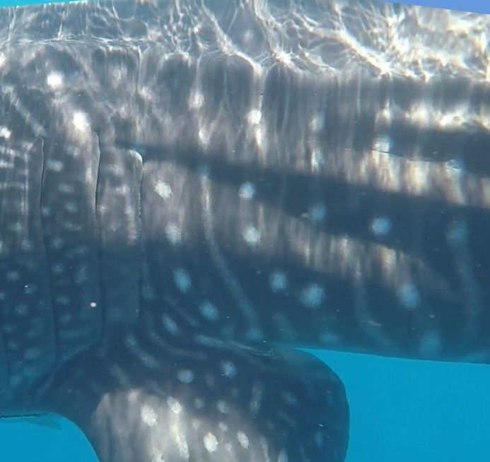 ab6749c2-ea4c-411d-97b3-902587dc746f