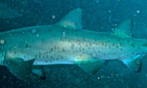 c5e5dac6-823c-4e94-bc2d-196f151fabf6