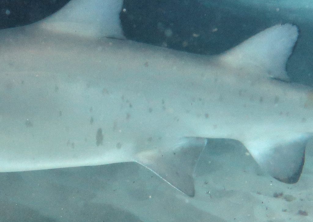 e43ce231-ca3c-45f0-a3d4-2f10d7c03205