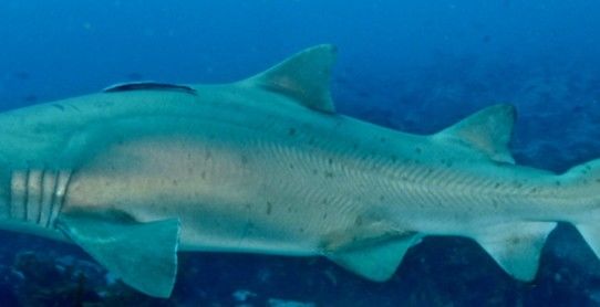 11dbc3d5-f0a9-4d67-9b82-ddddbdafb82d