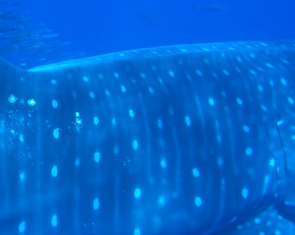 89e84fbc-ac1d-402f-96f8-1afcb02b13fc