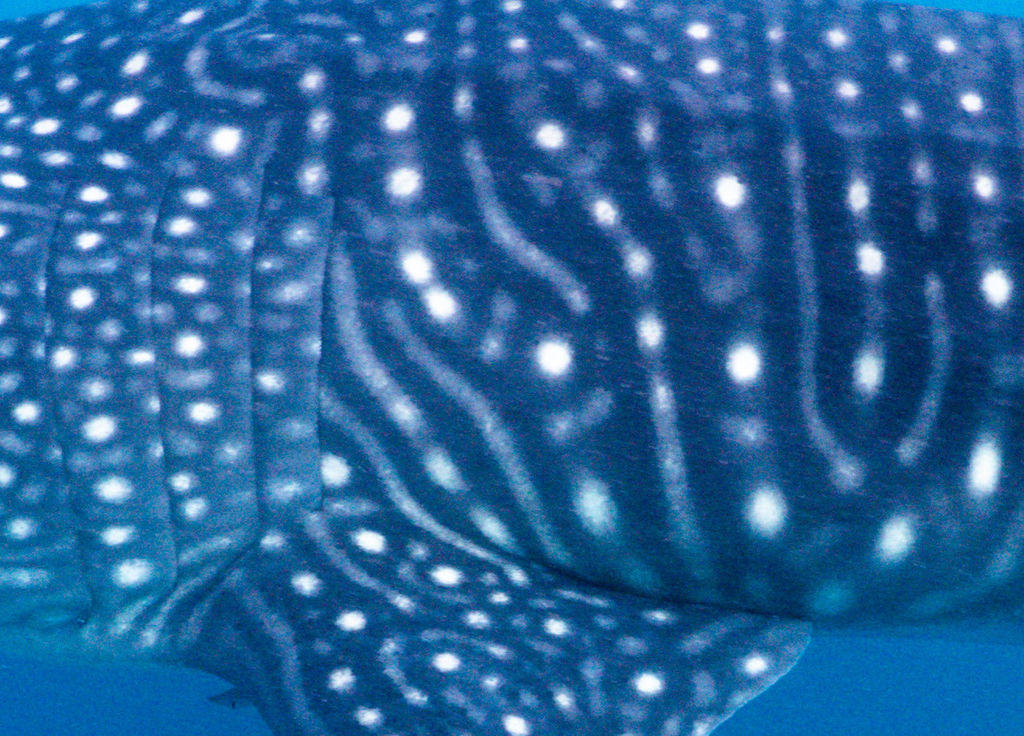 2f402e3b-d150-4da4-be14-24a58ea00ff5