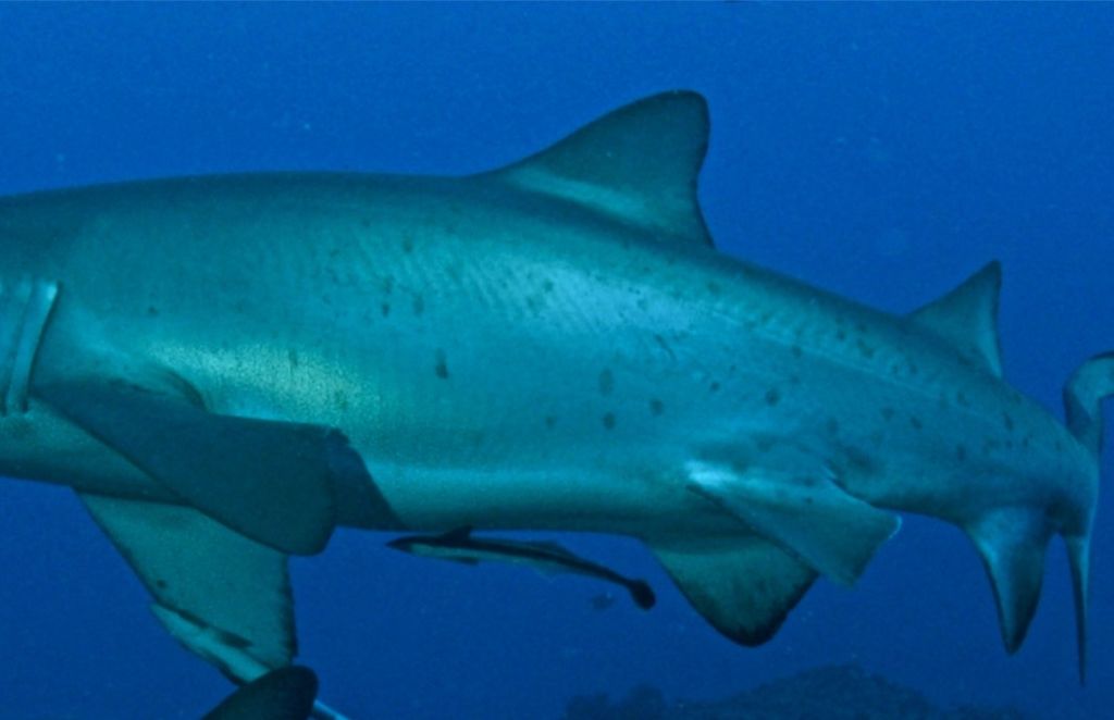 b5be1c57-2e8a-4f15-a172-395397efeb71