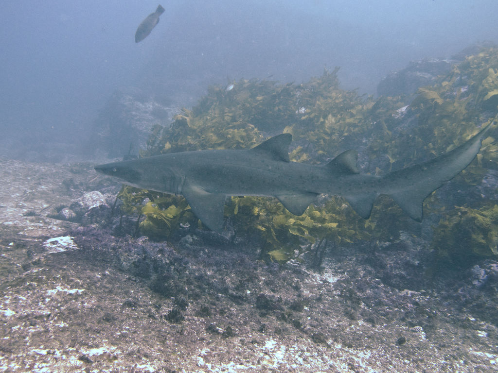 79c5b8db-d2b9-4b61-8e8e-979d76a115d3