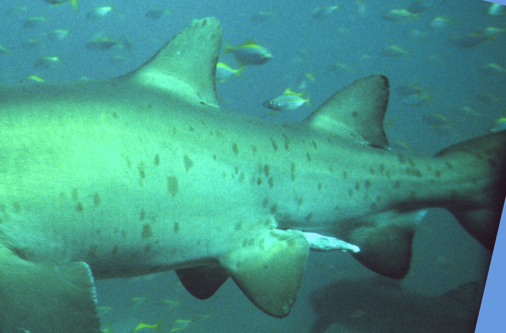 9a787d97-d033-4999-b077-900e770179b8