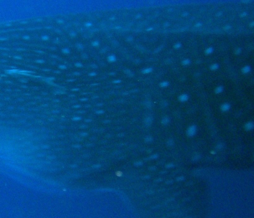 3174ccb2-b42e-431e-8cb5-15bbe2b48984