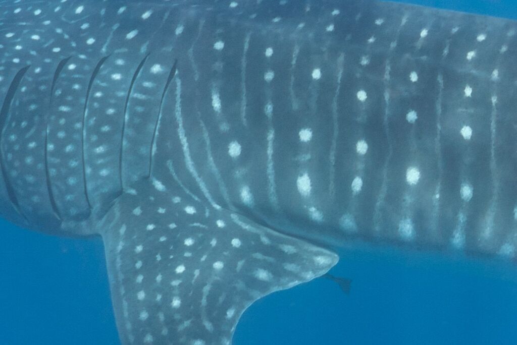 aac5d2b1-69b3-4141-b512-e91b5ce613f0