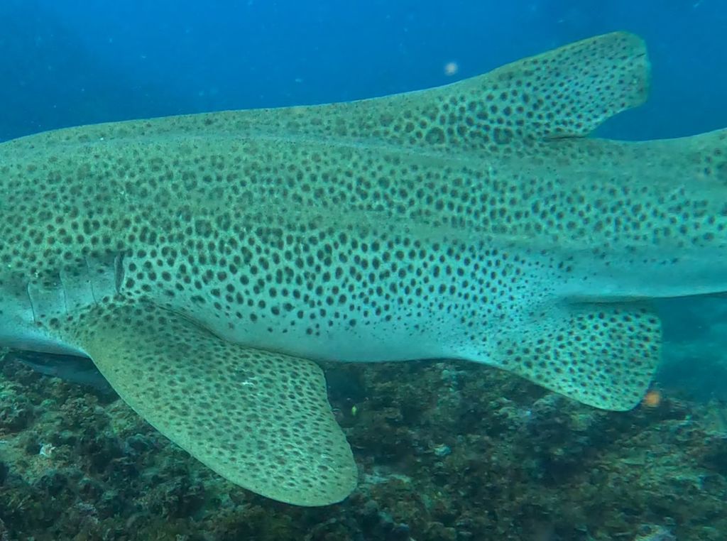 f68ddb76-c255-4cf5-9b18-484bcbd87283