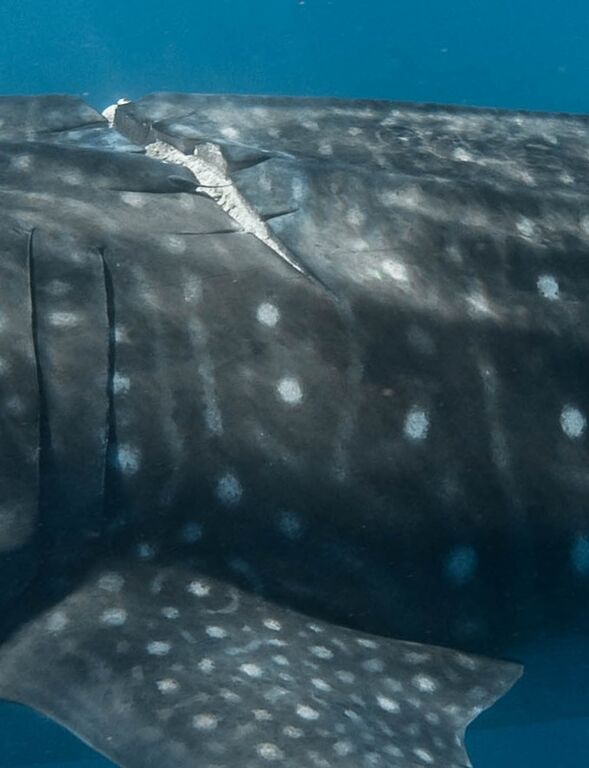 6b2542ae-622c-41bc-90d9-3796457e2f79