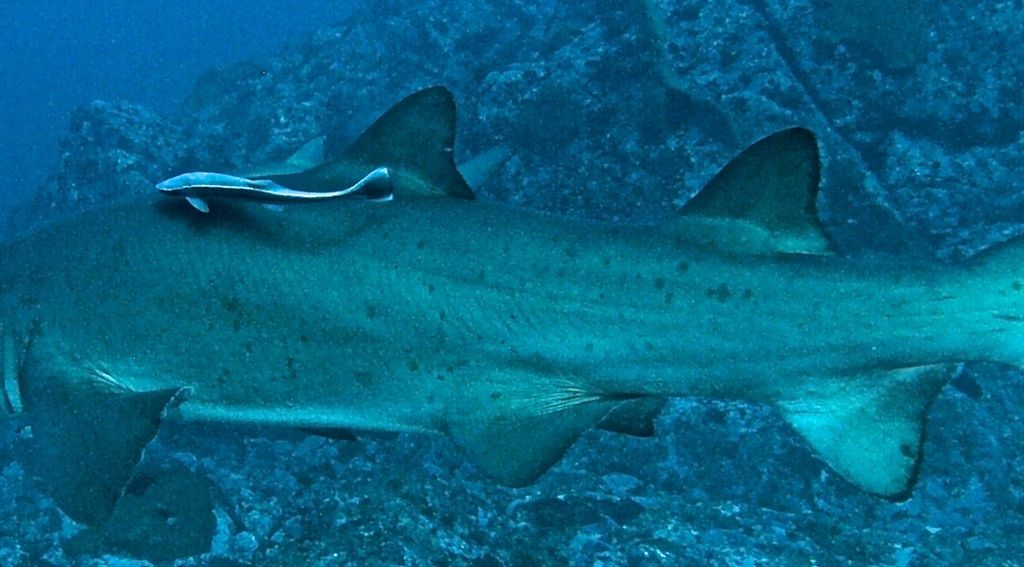 566513bb-342e-4df7-9221-83288d793283