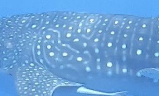 69379e48-fce9-4e39-8ef8-8877f747025e