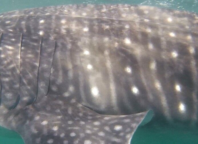 ea00539f-10b2-49df-b4d0-1198b252cb67